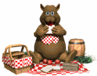 bear on picnic